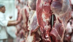 Ilustrasi daging kurban