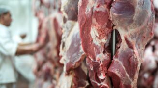 Ilustrasi daging kurban