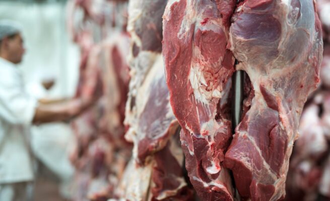 Ilustrasi daging kurban