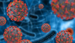 Hantavirus sulit terdeteksi