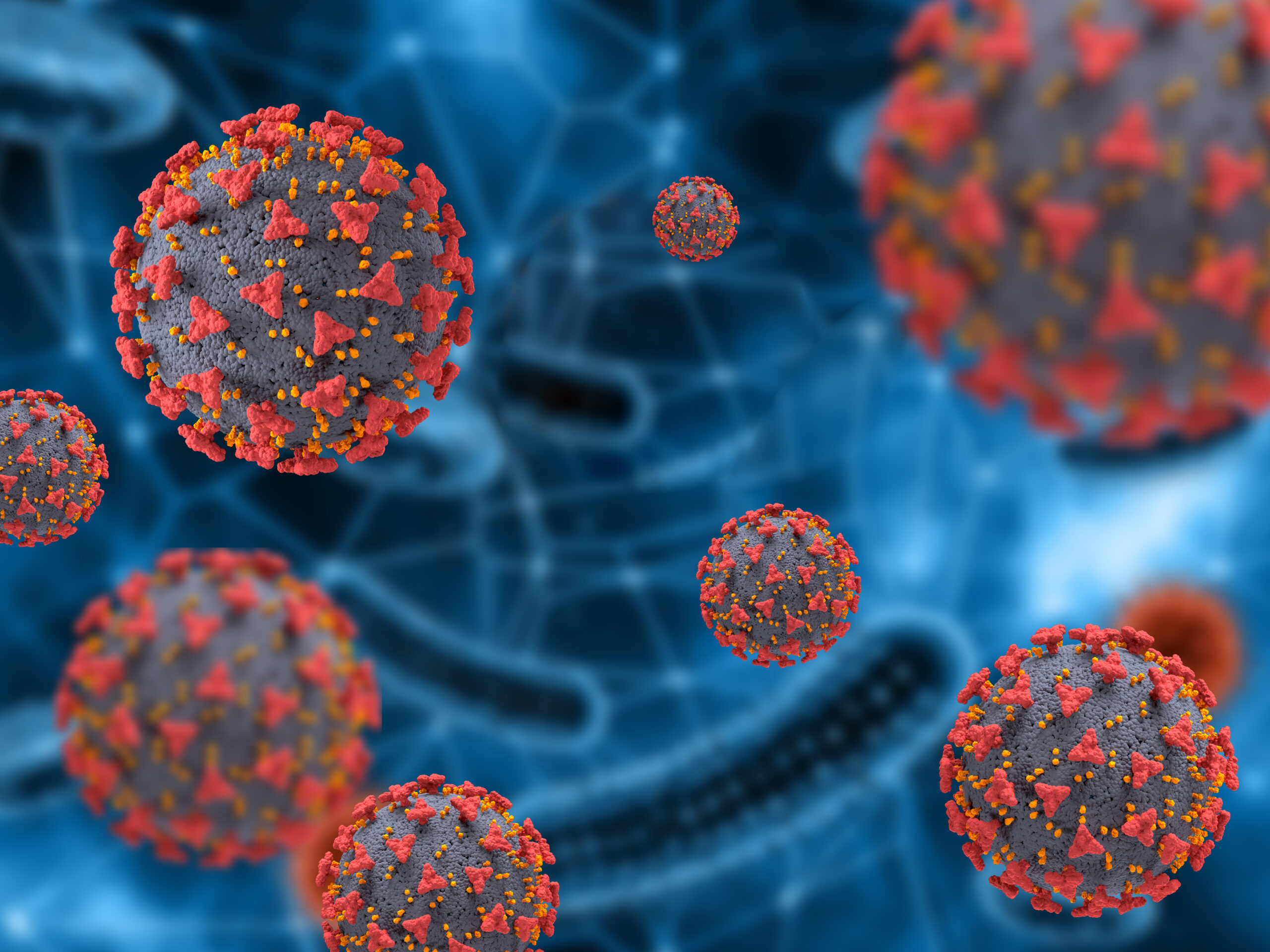 Hantavirus sulit terdeteksi